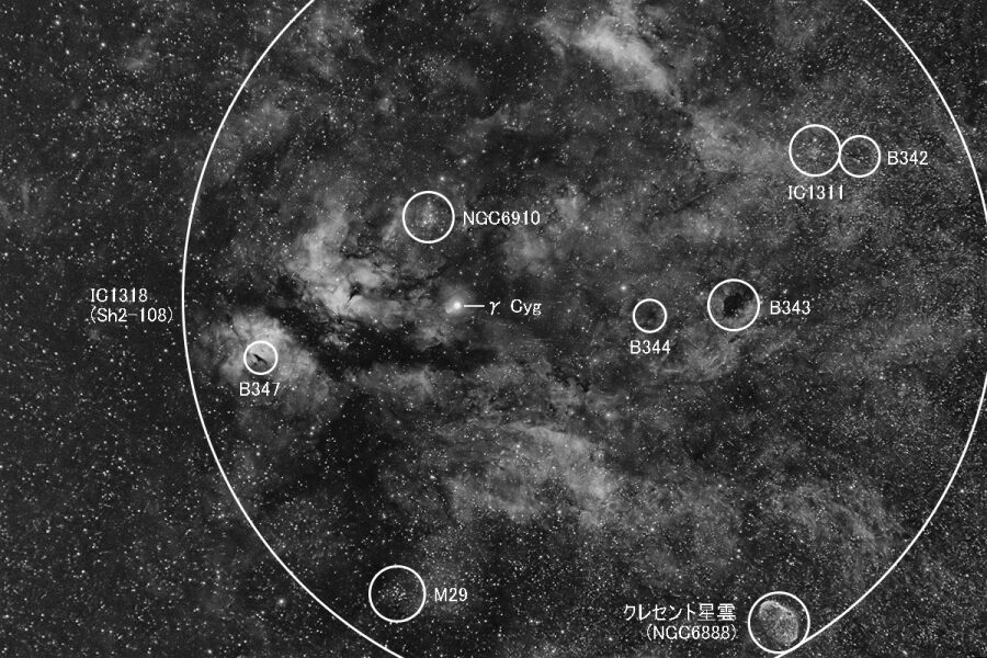 IC1318周辺の天体