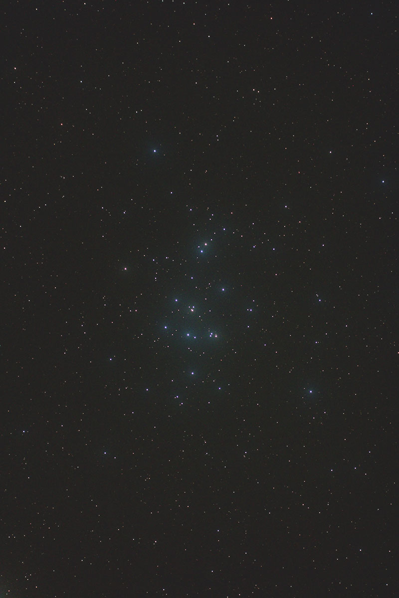 プレセペ星団 M44